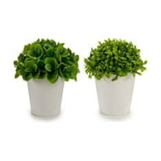 IBERGARDEN	 Dekorativna rastlina Plastika 13 x 17 x 13 cm (12 kosov)