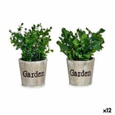 IBERGARDEN	 Dekorativna rastlina Plastika 16 x 22 x 16 cm (12 kosov)