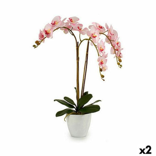 IBERGARDEN	 Dekorativna rastlina Orhideja Plastika 40 x 77 x 35 cm (2 kosov)