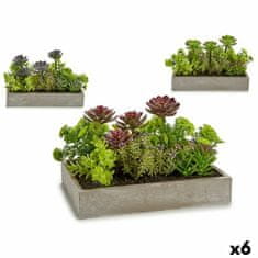 IBERGARDEN	 Dekorativna rastlina Sočno Plastika Cement 16,5 x 20 x 28,5 cm (6 kosov)