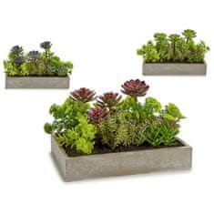 IBERGARDEN	 Dekorativna rastlina Sočno Plastika Cement 16,5 x 20 x 28,5 cm (6 kosov)