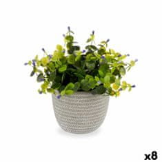 IBERGARDEN	 Dekorativna rastlina Flori Plastika 21 x 20,6 x 21 cm (8 kosov)