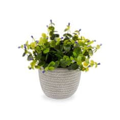 IBERGARDEN	 Dekorativna rastlina Flori Plastika 21 x 20,6 x 21 cm (8 kosov)