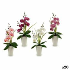 IBERGARDEN	 Okrasni Cvet Orhideja Plastika 14 x 35 x 8 cm (12 kosov)