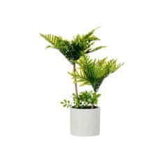 IBERGARDEN	 Dekorativna rastlina Palma Plastika Cement 12 x 45 x 12 cm (6 kosov)