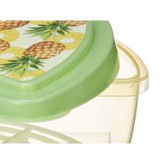 Leknes Posoda za živila Sadje Ananas Kivi Plastika 23 x 8 x 13 cm (24 kosov)