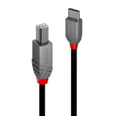 Lindy Kabel USB C v USB B LINDY 36942 Črna 2 m