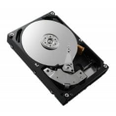 DELL Trdi Disk Dell 161-BBRX 8 TB HDD