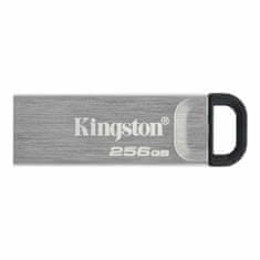 Kingston Ključ USB Kingston DTKN/256GB USB 3.2 Srebrna 256 GB