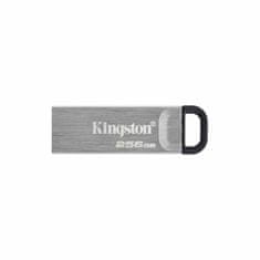 Kingston Ključ USB Kingston DTKN/256GB USB 3.2 Srebrna 256 GB