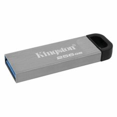 Kingston Ključ USB Kingston DTKN/256GB USB 3.2 Srebrna 256 GB