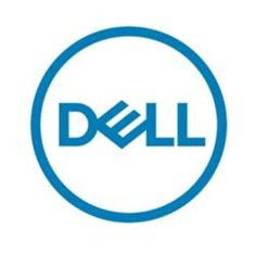 DELL Trdi Disk Dell 161-BCFV 2,5" 2,4 TB