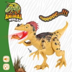 Colorbaby Komplet dinozavrov Colorbaby 4 Kosi 6 kosov 23 x 16,5 x 8 cm Dinozavri