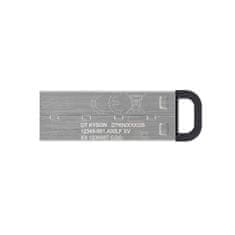 Kingston Ključ USB Kingston DTKN/512GB Srebrna 512 GB (1 kosov)