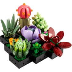 LEGO Kocke Lego Succulent 10309 771 Kosi Pisana