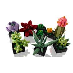 LEGO Kocke Lego Succulent 10309 771 Kosi Pisana