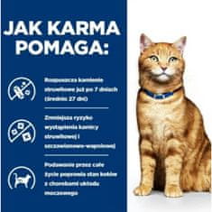 Hill's Hrana za mačke Hill's PD C/D Urinary Care Piščanec 3 Kg