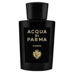 shumee Ambra parfumska voda v spreju 180 ml