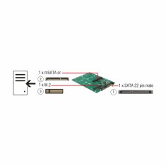 Delock adapter HDD SATA - M.2 NGFF + 1x mSATA 62670