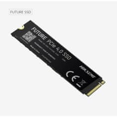 HIKSEMI Trdi Disk Hiksemi FUTURE 1 TB SSD