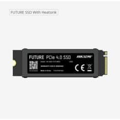 HIKSEMI Trdi Disk Hiksemi FUTURE 1 TB SSD