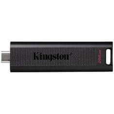 Kingston Ključ USB Kingston DataTraveler Max Črna 256 GB (1 kosov)