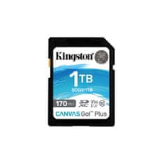 Kingston Spominska Kartica SDXC Kingston SDG3/1TB 1 TB