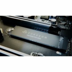 Forgeon Trdi Disk Forgeon 4 TB SSD