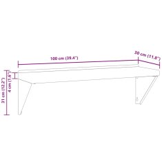 Vidaxl Stenska polica 100x30x31 cm srebrna nerjaveče jeklo