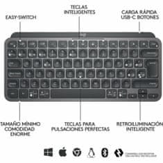 Logitech Tipkovnica Logitech 920-010488 Črna QWERTY