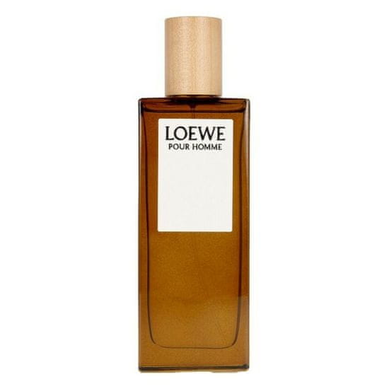 Loewe Moški parfum Loewe LOEWE POUR HOMME EDT 50 ml