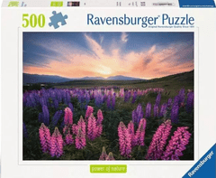 Ravensburger sestavljanka, Lupin, okrasna cvetlica, 500/1