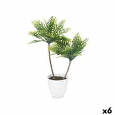 IBERGARDEN	 Dekorativna rastlina Palma Plastika 36 x 55,5 x 24 cm (6 kosov)