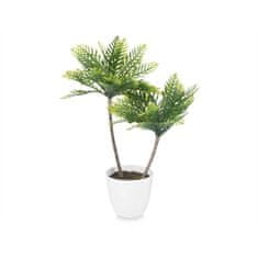 IBERGARDEN	 Dekorativna rastlina Palma Plastika 36 x 55,5 x 24 cm (6 kosov)