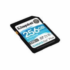 Kingston Spominska Kartica SD Kingston SDG3/256GB 256 GB