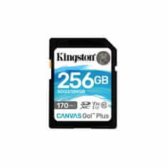 Kingston Spominska Kartica SD Kingston SDG3/256GB 256 GB