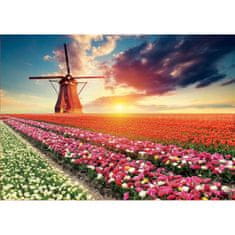 Educa Sestavljanka Puzzle Educa Fields of Tulips 18465 1500 Kosi