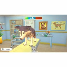 Microids Video igra za Switch Microids My Universe: PetClinic Cats & Dogs - Panda Edition