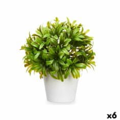 IBERGARDEN	 Dekorativna rastlina Plastika 17 x 17 cm (6 kosov)