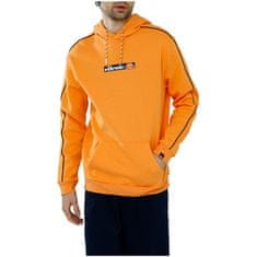 Ellesse Športni pulover 170 - 175 cm/M Viridus OH