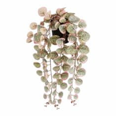 Mica Decorations Dekorativna rastlina Mica Decorations Ceropegia Woodii 10 x 46 x 12 cm Umetno Za odlaganje