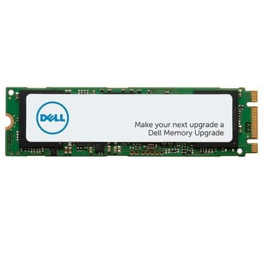 DELL Trdi Disk Dell AA615520 1 TB SSD