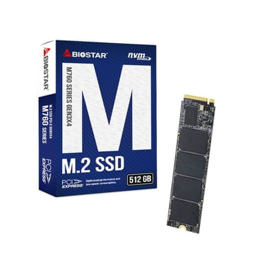 Biostar Trdi Disk Biostar M760 512 GB SSD