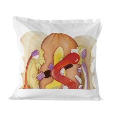 Happy Friday Vzglavnik HappyFriday Baleno Teen Hotdog Pisana 80 x 80 cm