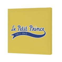 Happy Friday Platno HappyFriday Le Petit Prince Migration Pisana 27 x 27 cm