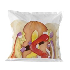 Happy Friday Vzglavnik HappyFriday Baleno Teen Hotdog Pisana 60 x 60 cm