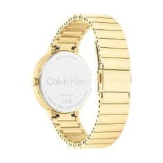 Calvin Klein Ura moška Calvin Klein 25100030