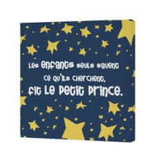 Happy Friday Platno HappyFriday LE PETIT PRINCE Pisana 28 x 3 x 28 cm