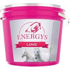 Priboljški za konje Energys Love, jabolko 2 kg