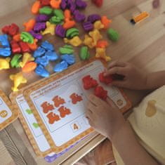 WOOPIE  Učenje štetja Montessori izobraževalni komplet za razvrščanje barv 8 SETOV